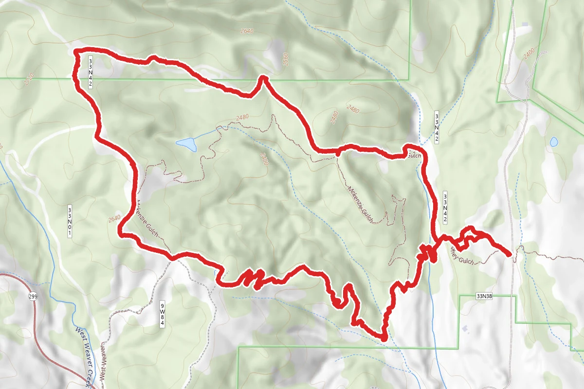 McKenzie Gulch Loop