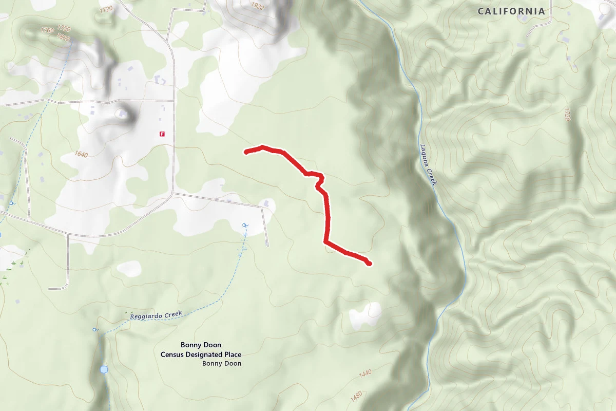 Ponderosa Cutoff