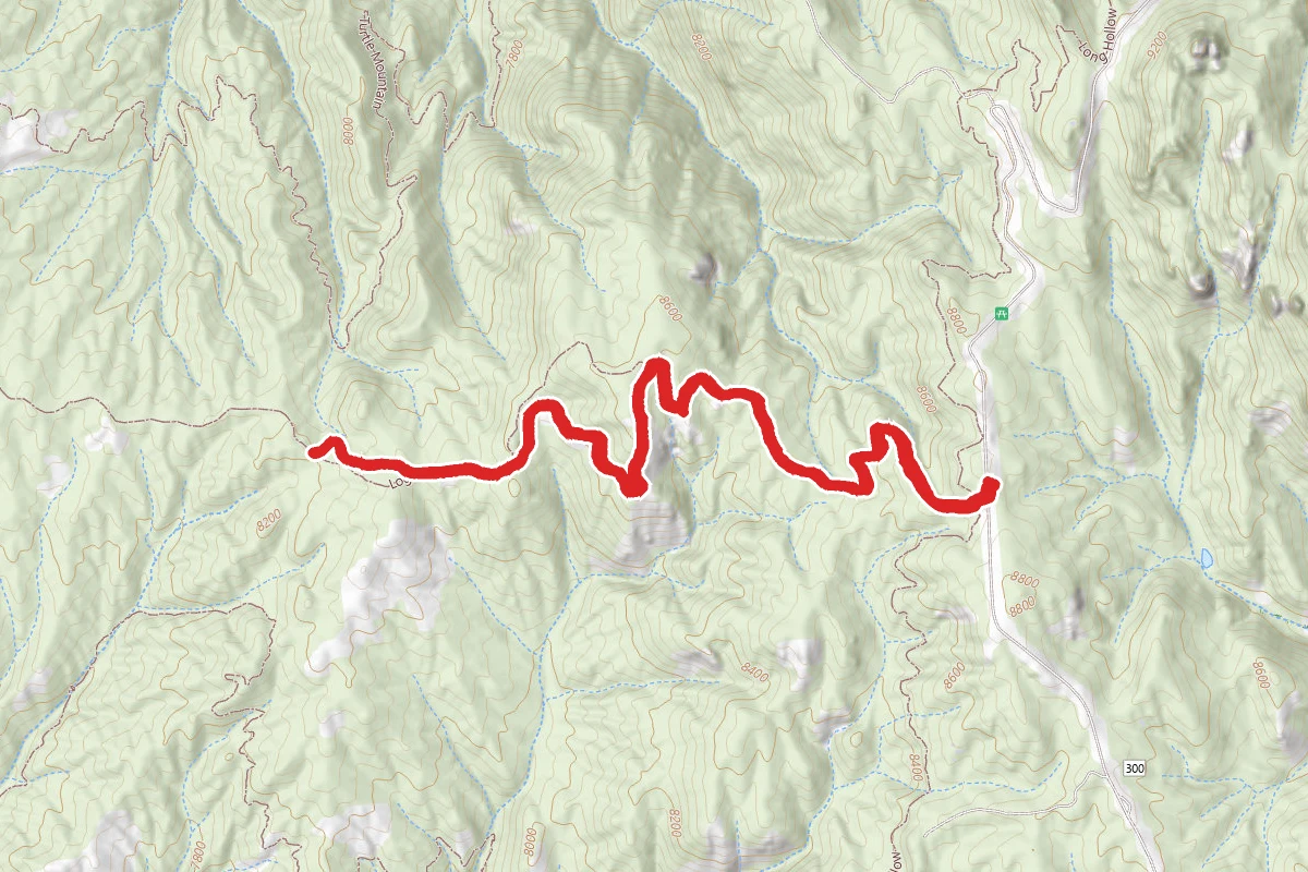 Noddle Trail