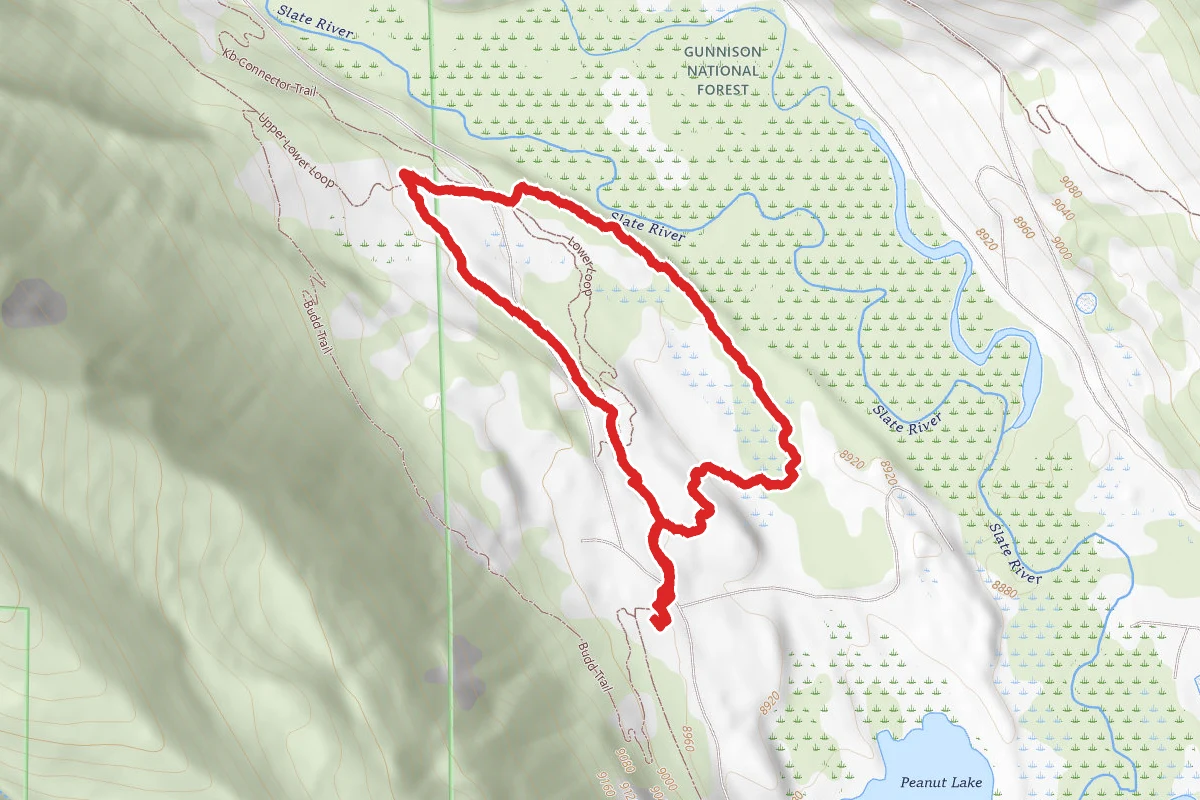 Slate River Snowshoe Trail