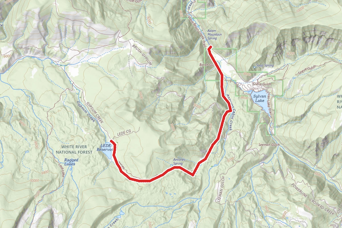 Antone Trail