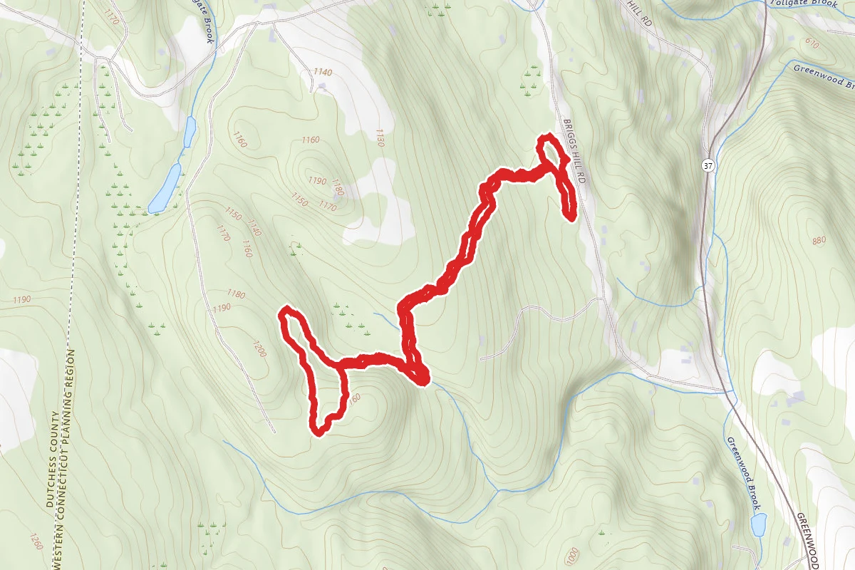 West Briggs Hill Trail