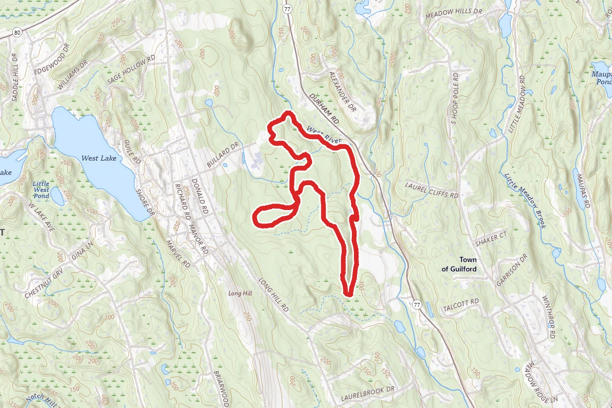 Bittner Park Loop