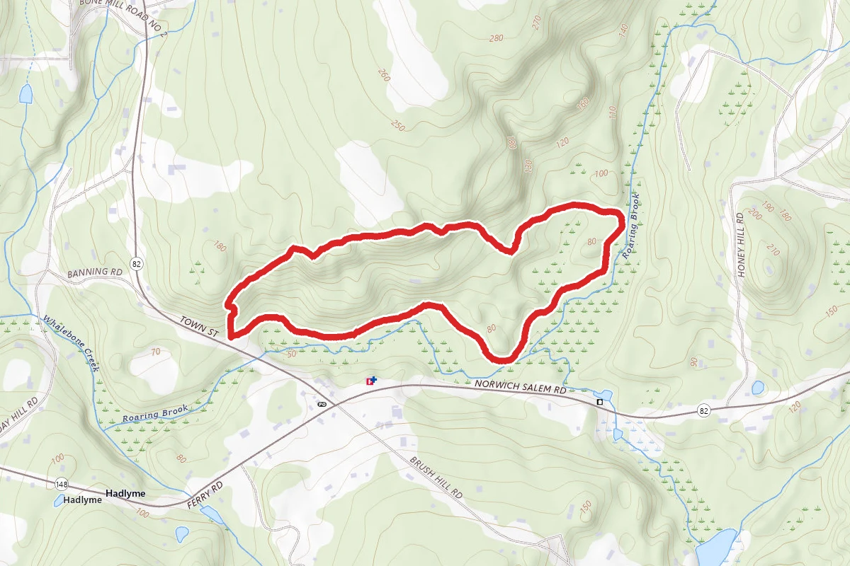 Banningwood Red and Brook Trail