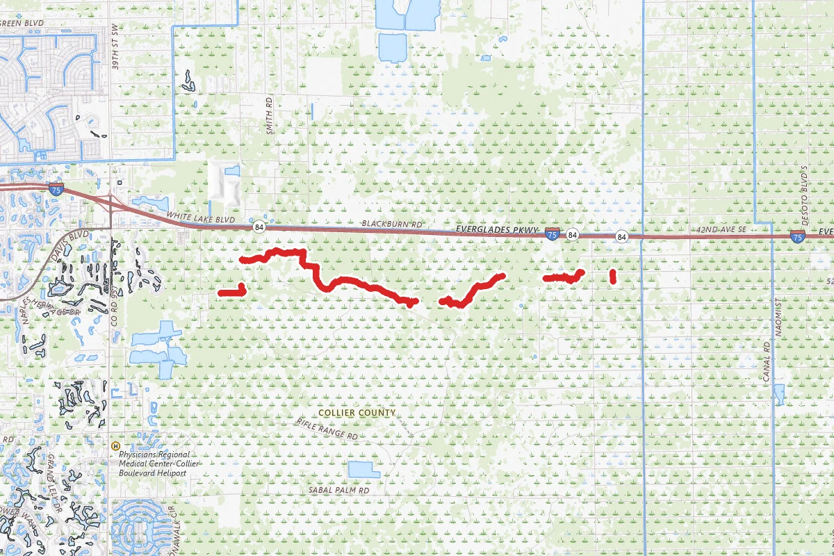 Picayune Strand State Forest Blue Trail