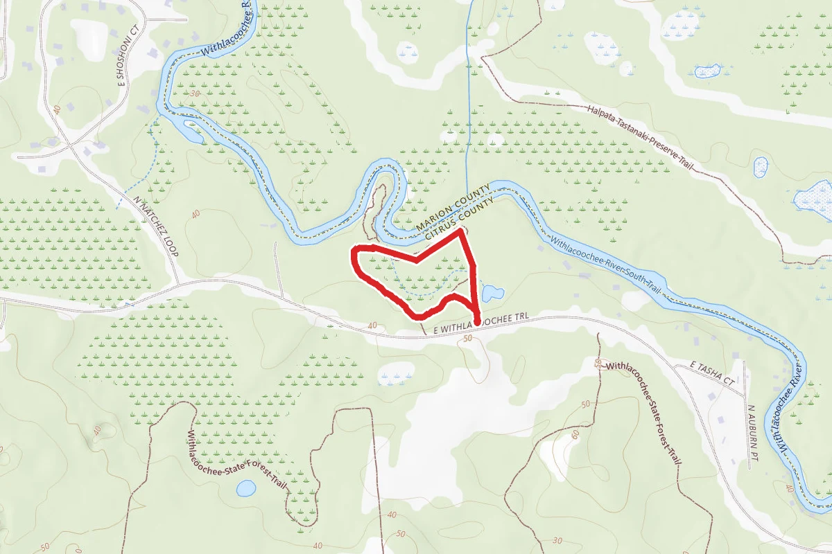 Ox Bow Loop