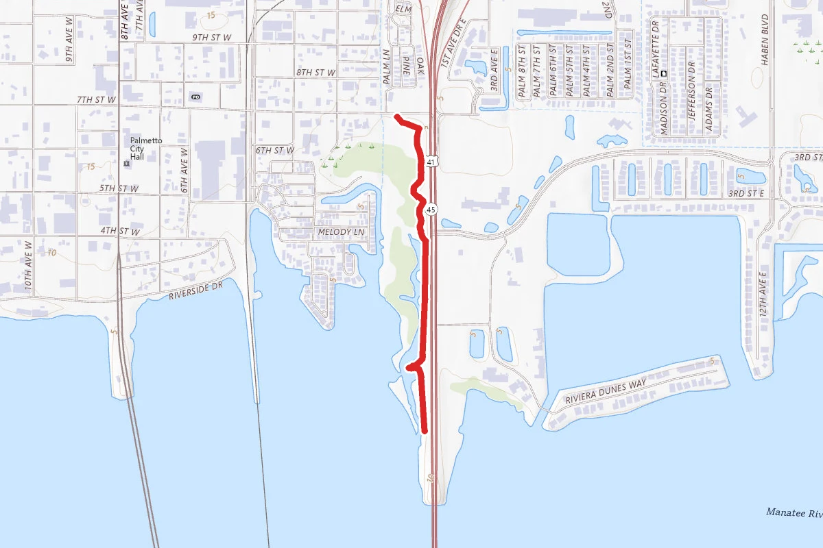 Palmetto Estuary