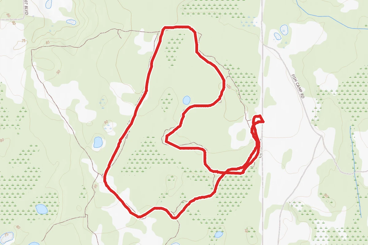 Longleaf Flatwood White, Yellow, Red Inner Loop