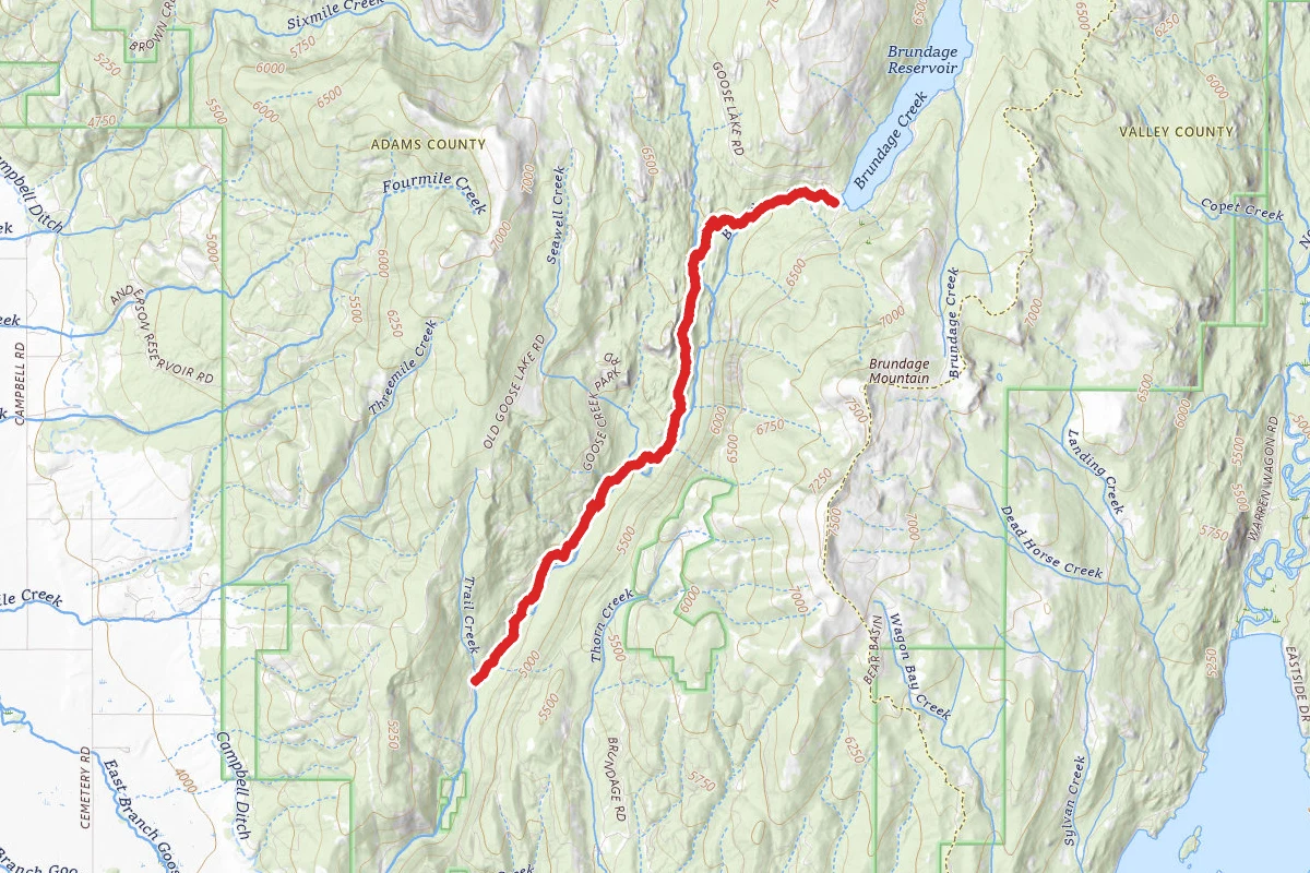 Goose Creek Downhill