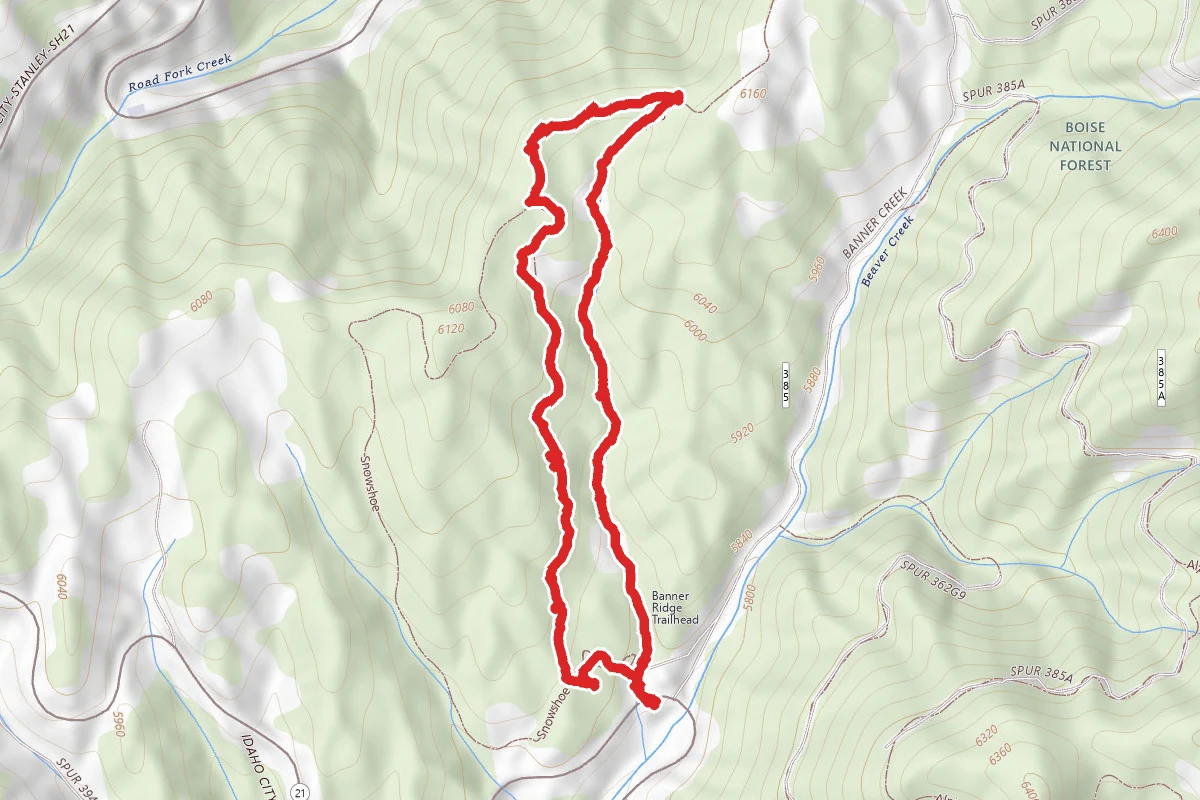 Banner Ridge Snowshoe Loop