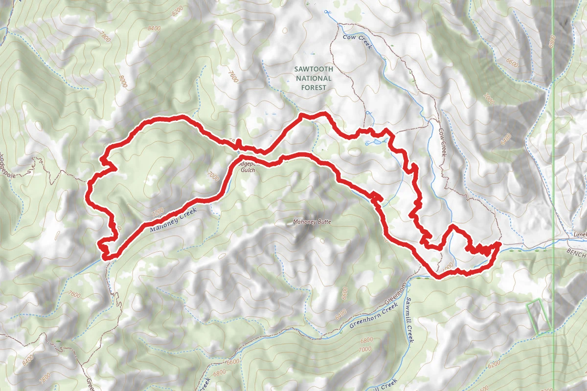 Cow, Lodgepole, Mahoney Loop