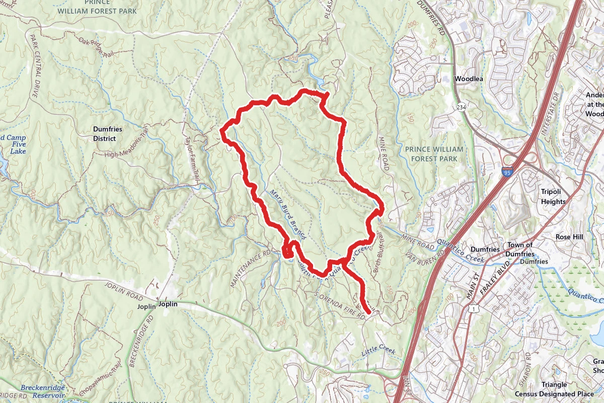 Pyrite Mine Loop Trail