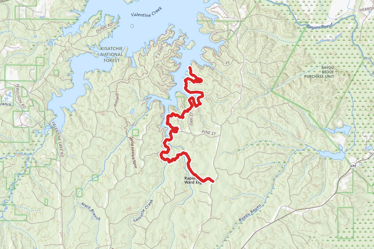Evangeline Camp to Lakeshore Trail