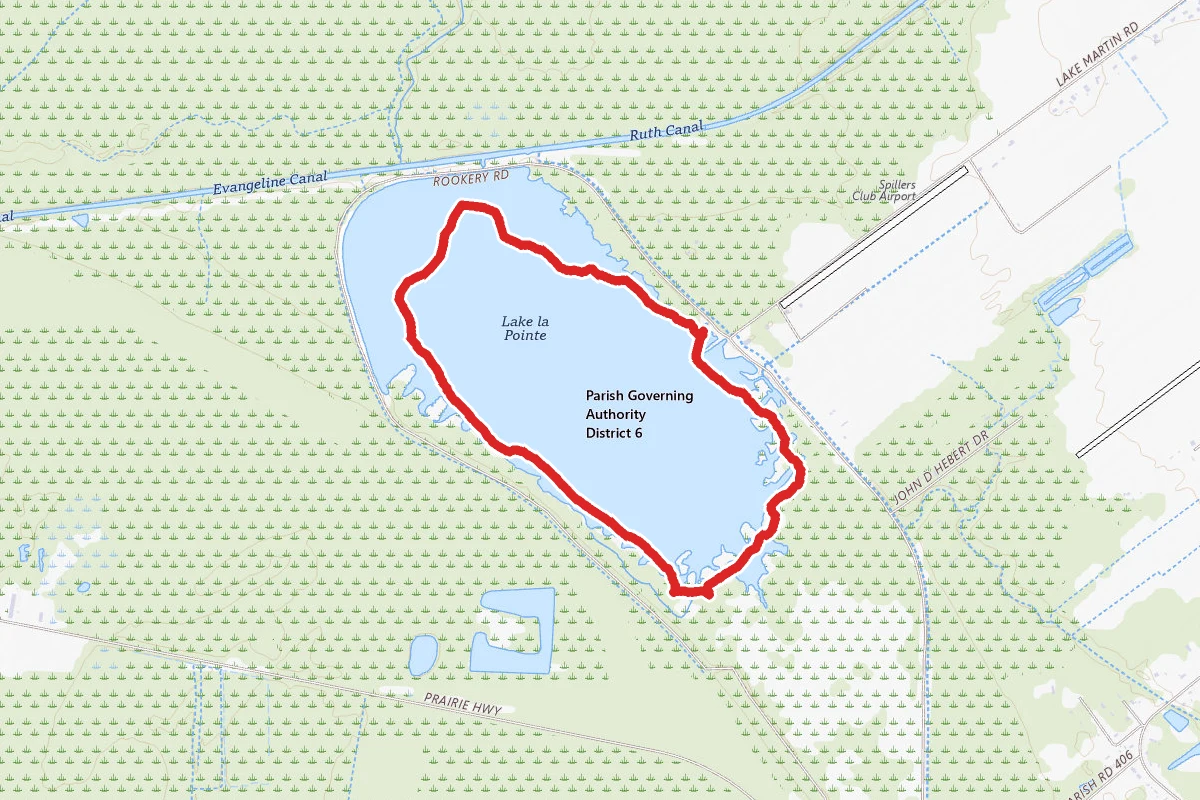 Lake Martin Swamp Tours