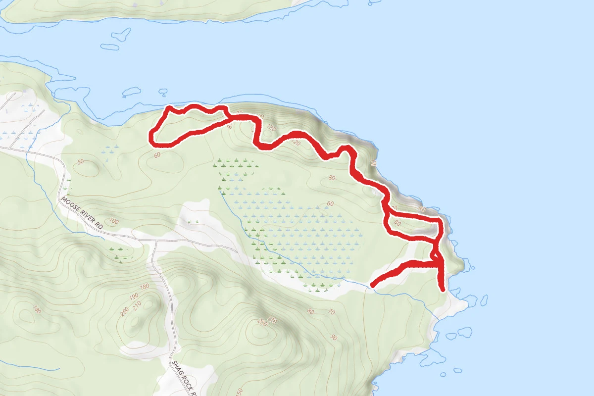 Bog Brook Cove Ridge Trail