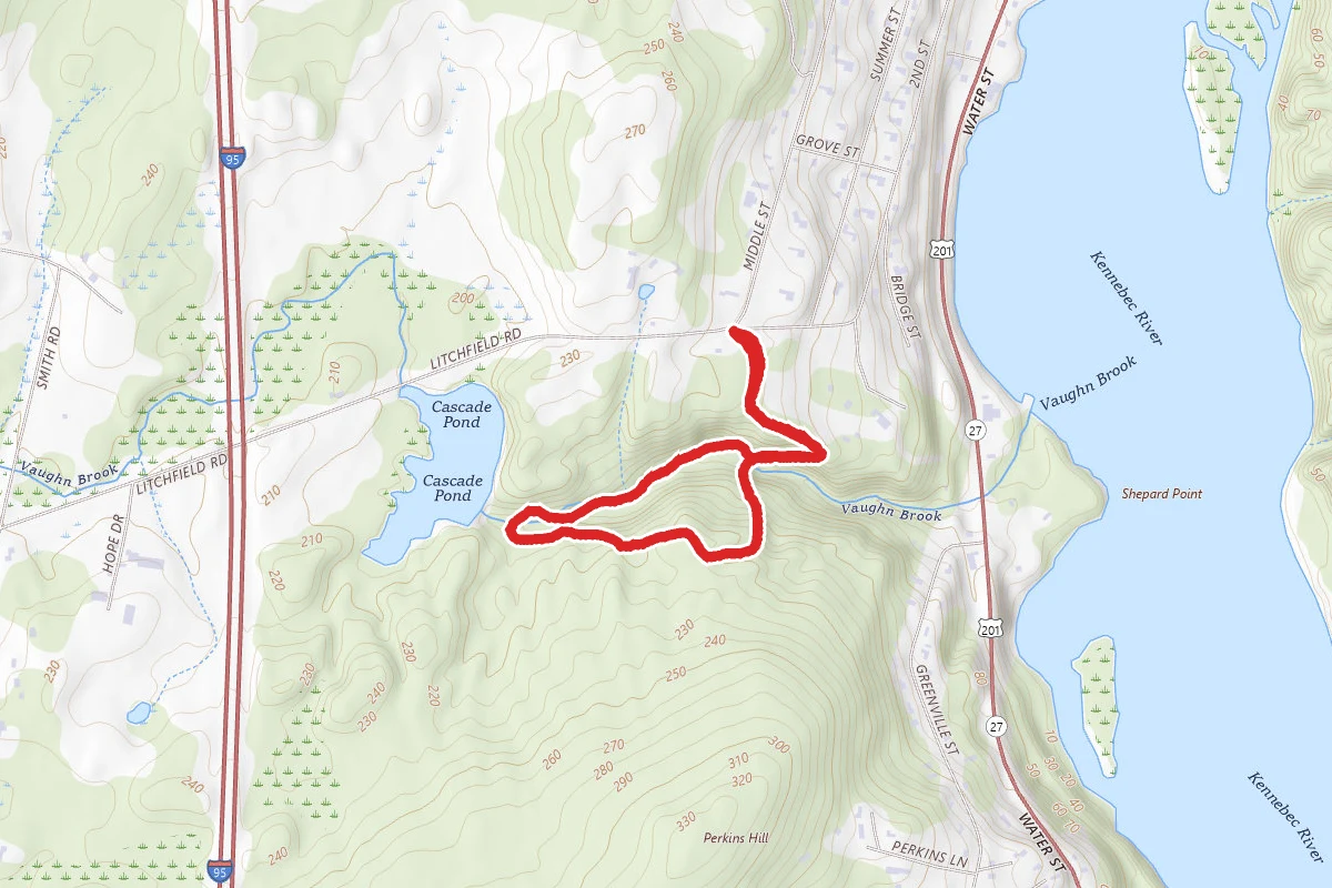 Brook Trail to Twelve Foot Falls and Rice Pines Loop
