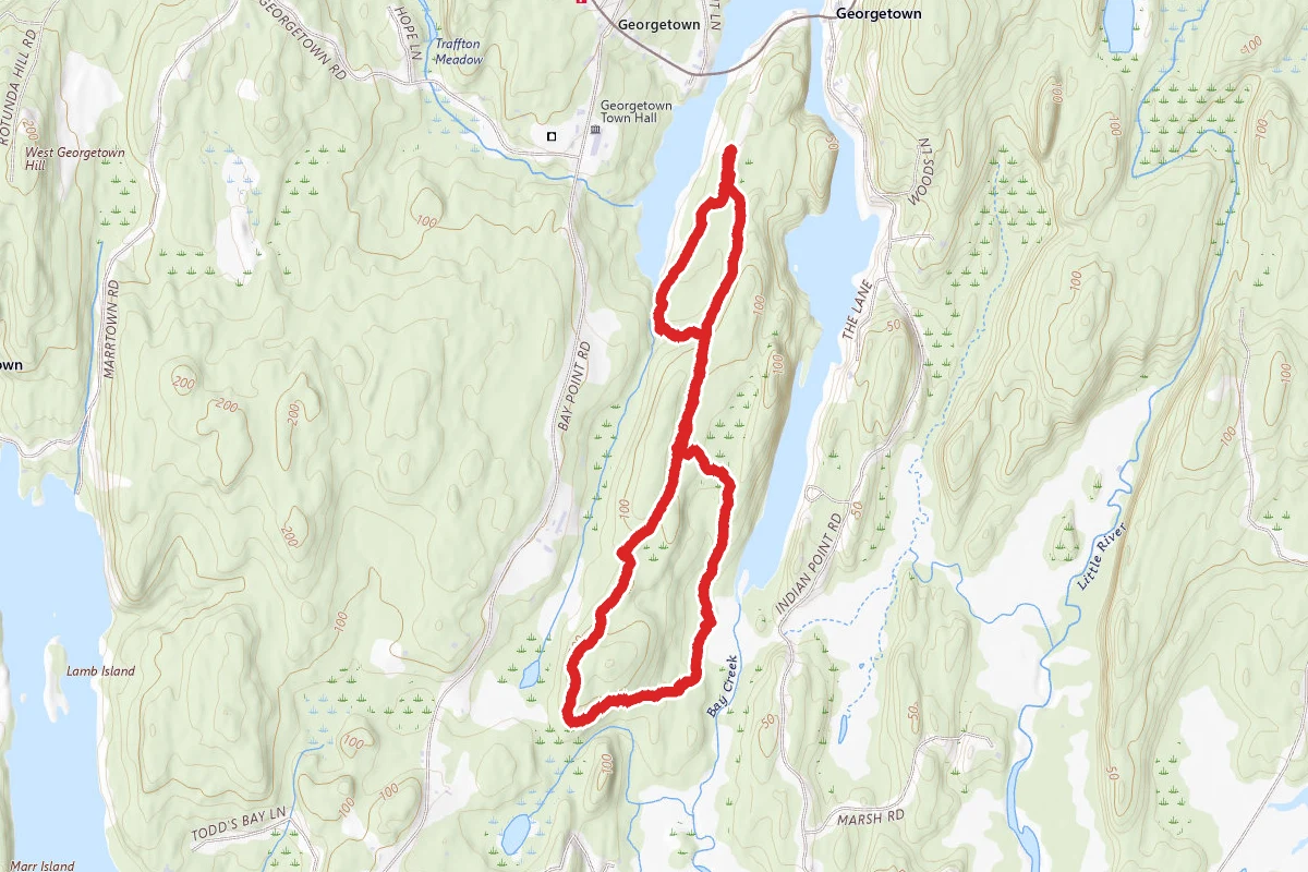 Wilson Loop via Horseshoe and Rocky End Trail