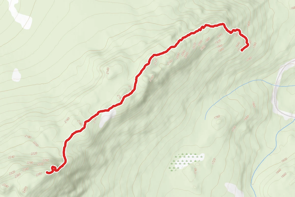Williams Mountain