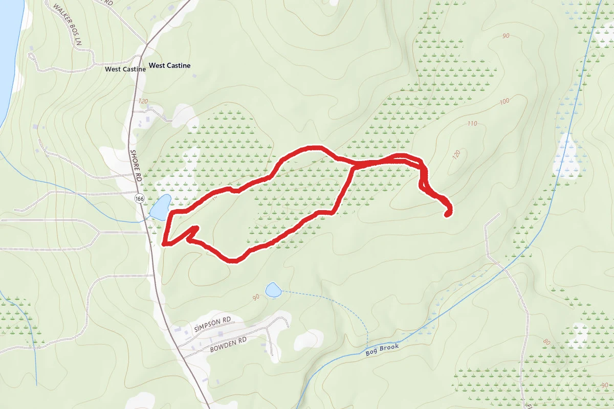 Rene Henderson Natural Area Loop