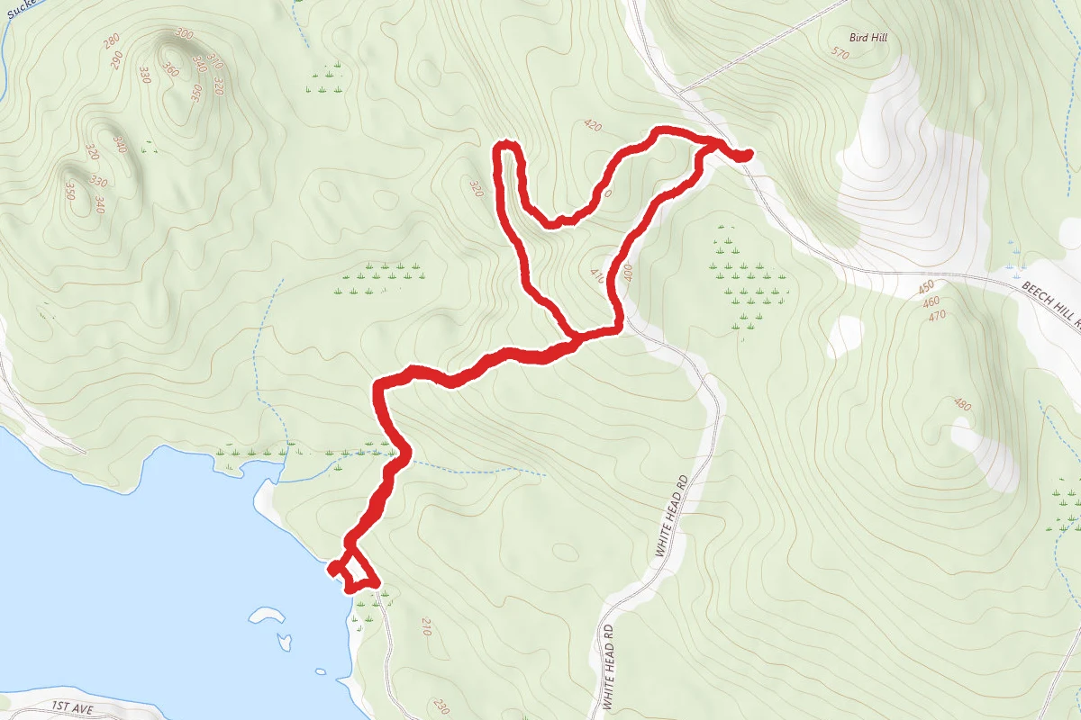 Newman Preserve