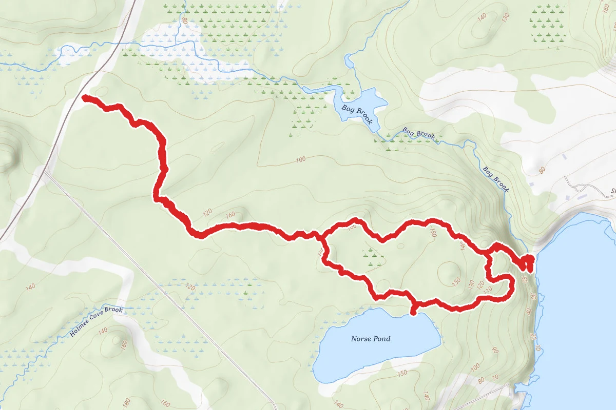 Norse Pond Trail