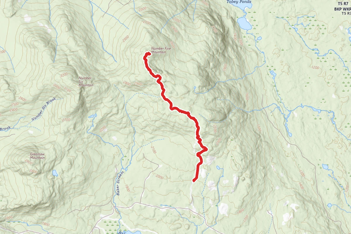 Number 5 Mountain Trail