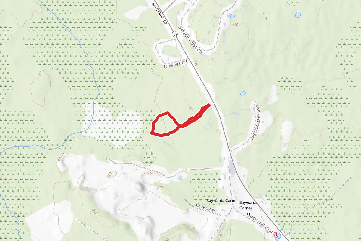 Hilton Family Trail