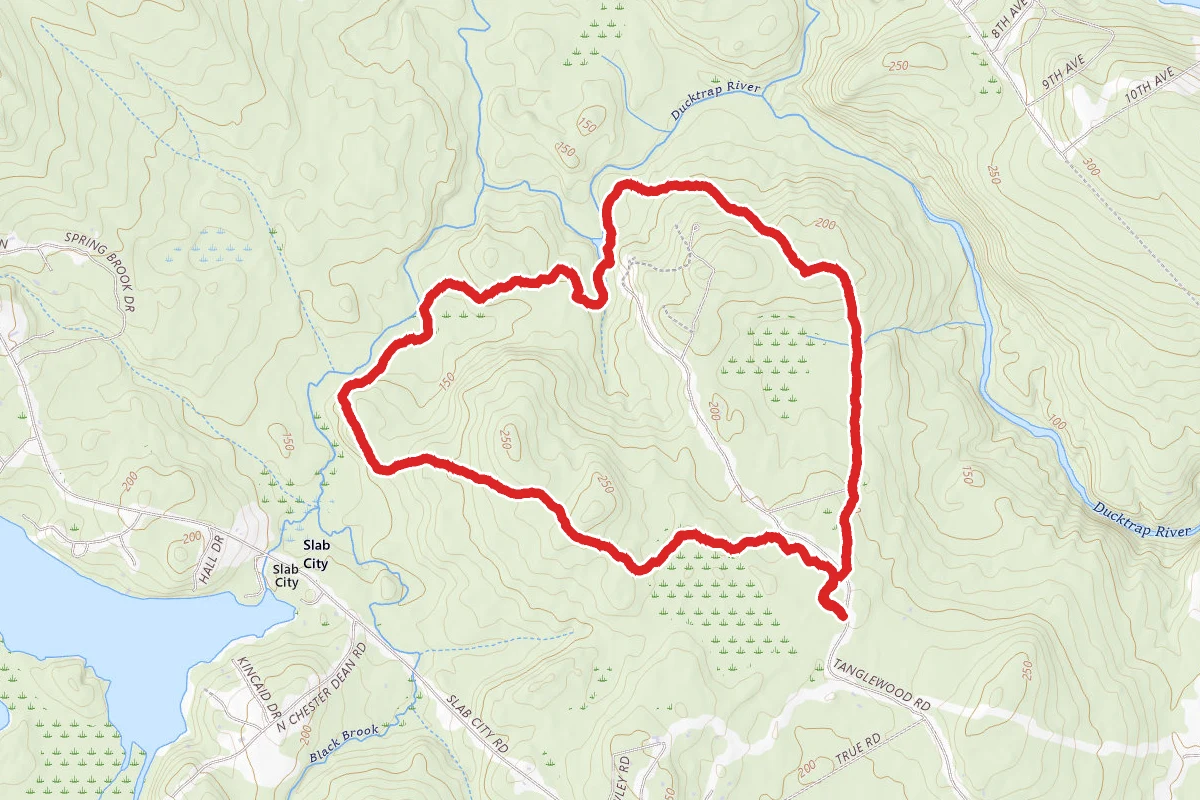 Camden Hills Forest Loop Trail