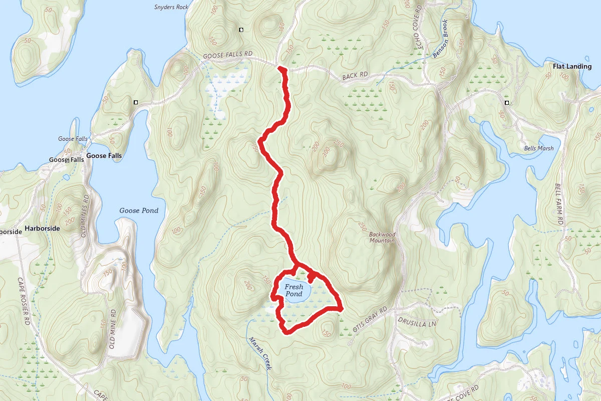 Fresh Pond Trail