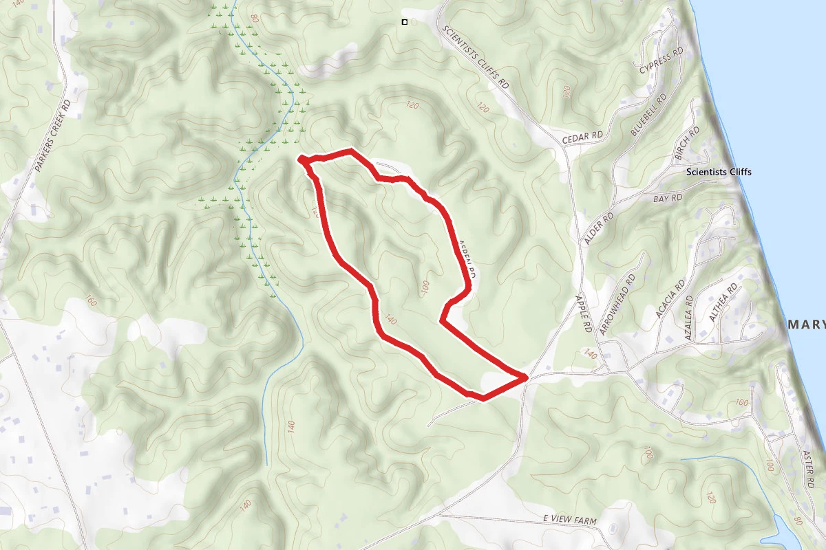 Gravatt Lane to Bloodroot Trail Loop