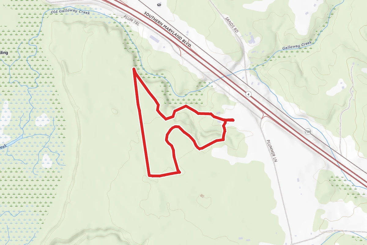 Pine Barrens, Maple and Beaver-Rock Trail Loop