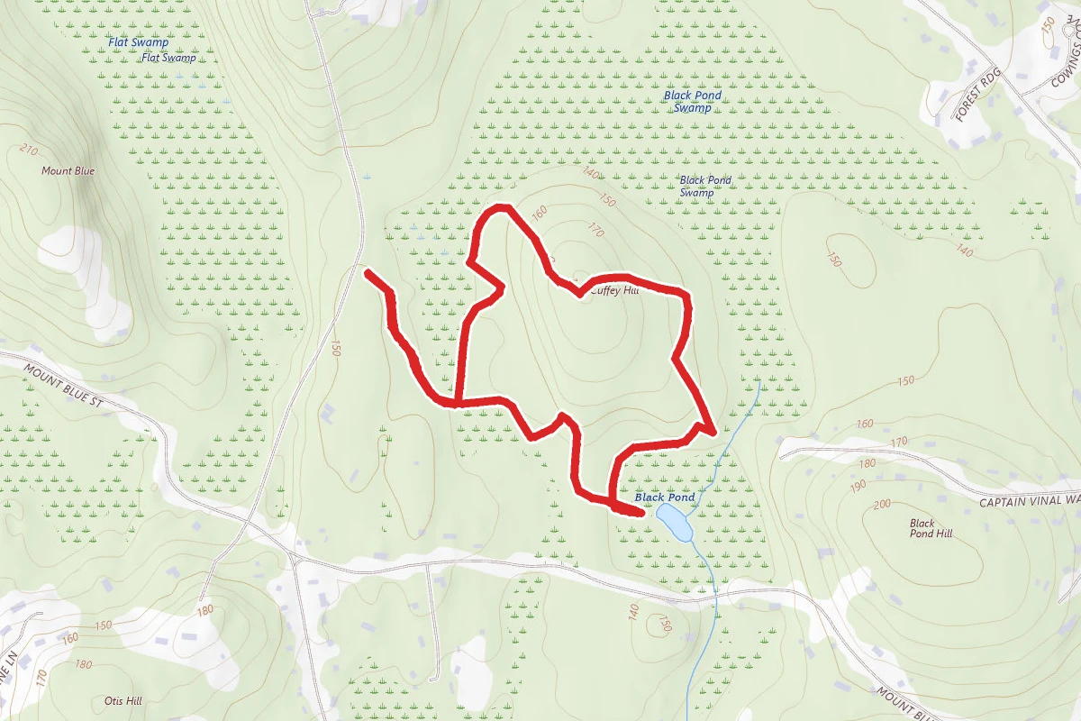Black Pond Nature Preserve