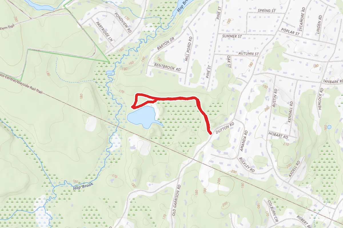 Pine Trail to Duck Pond