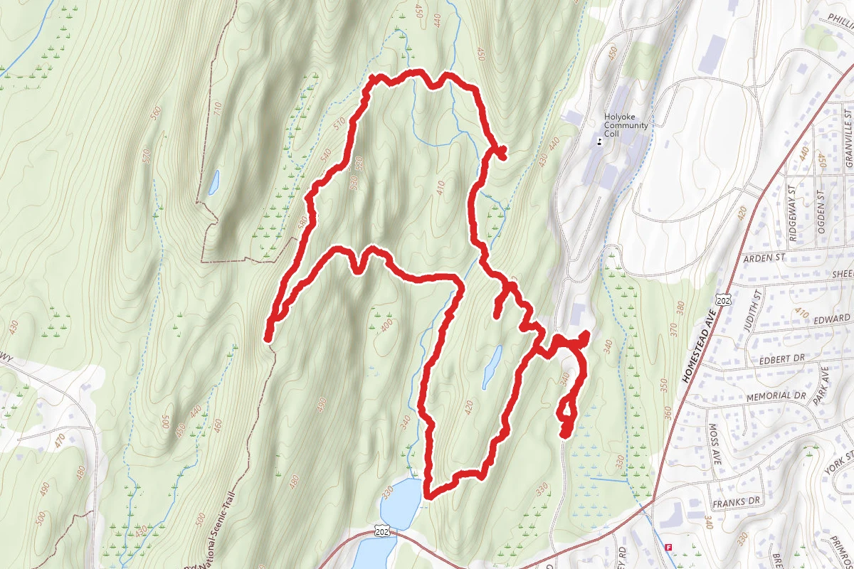 Trolley Trail Loop