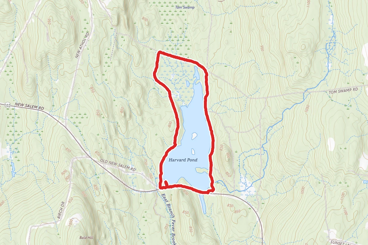 Harvard Pond Loop