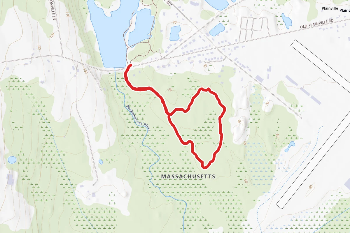 Flora Pierce Nature Walk