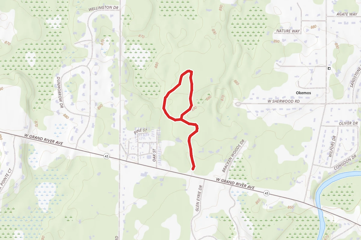 Ted Black Woods White Loop via Yellow Trail