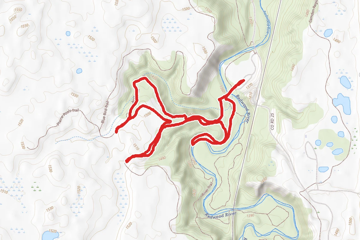Redwood River Trail
