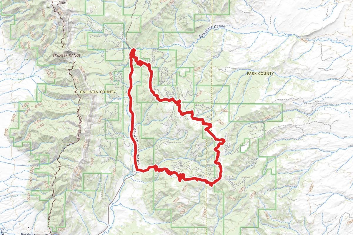 Bangtail Divide Loop