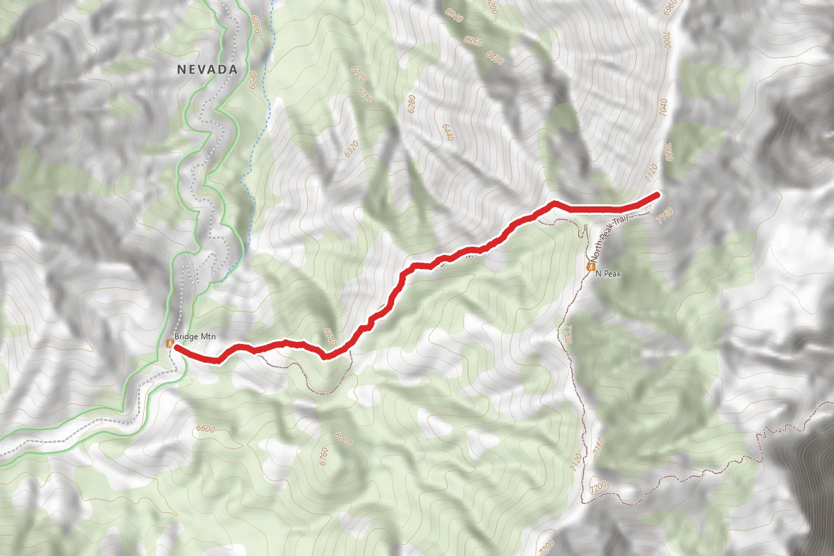 Top of the Escarpment Trail