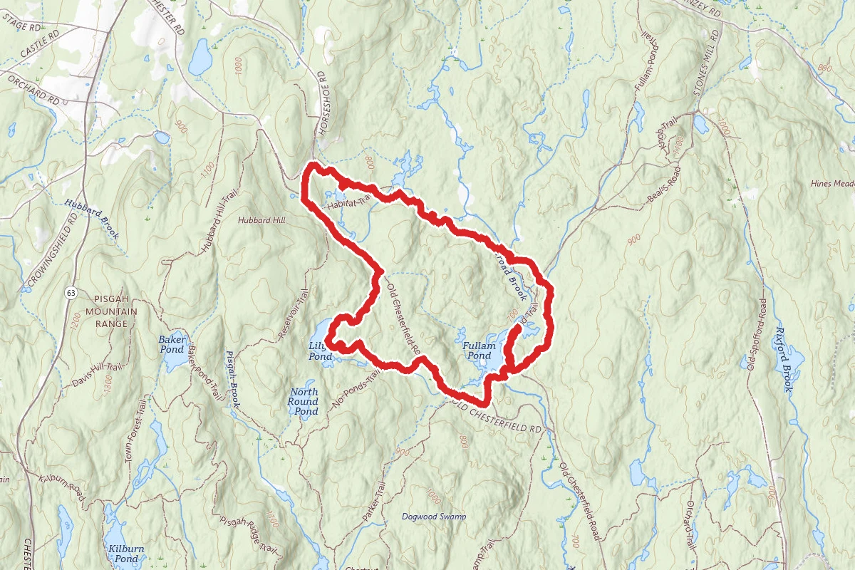 Fullam Pond Loop