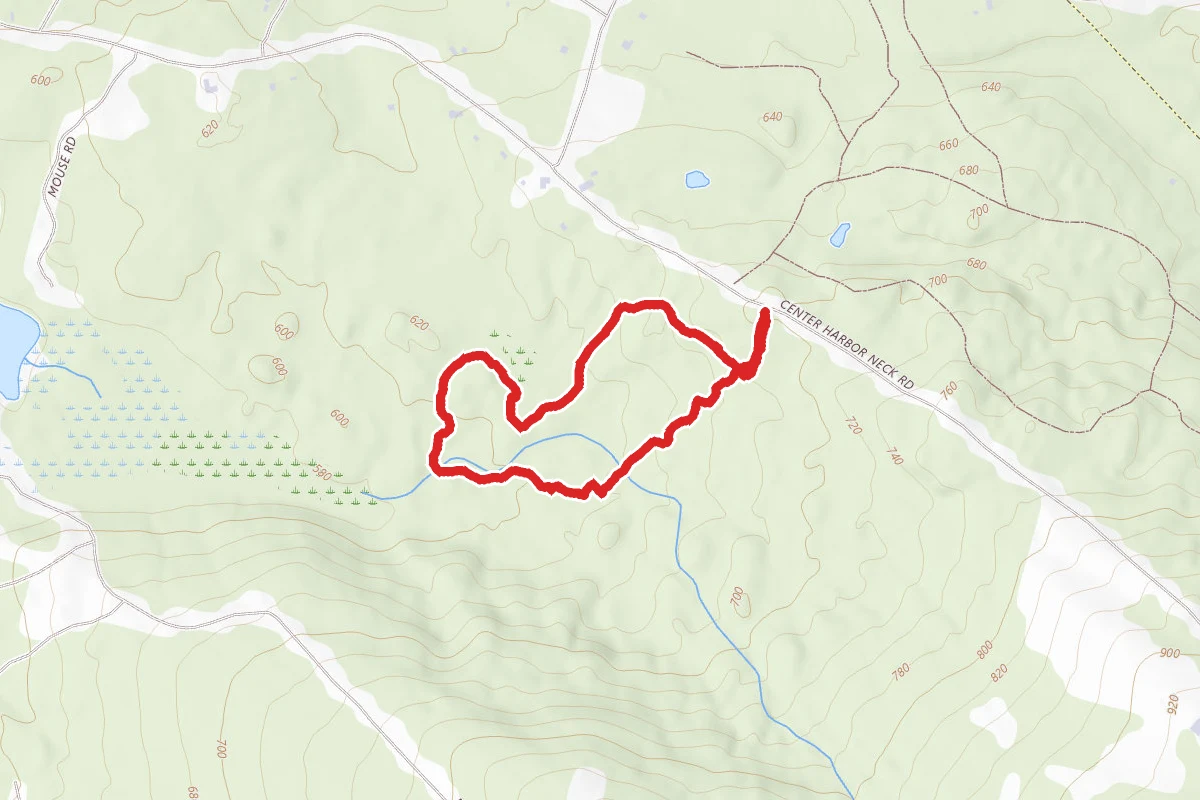Proctor Wildlife Sanctuary Trail Loop