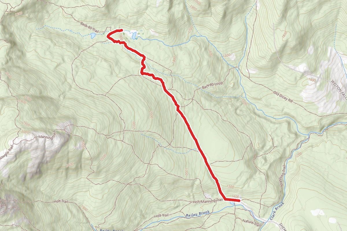 Back 80 Trail to Beaver Pond