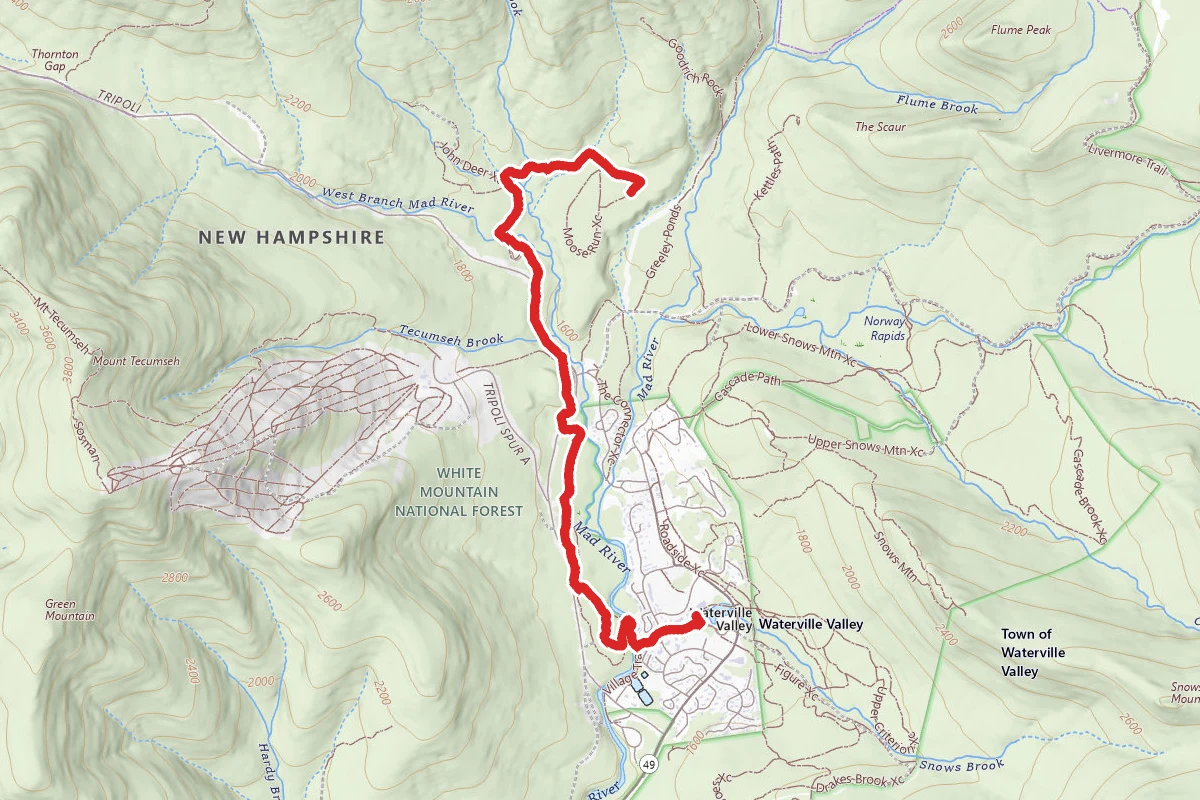 Lower Osceola Trail