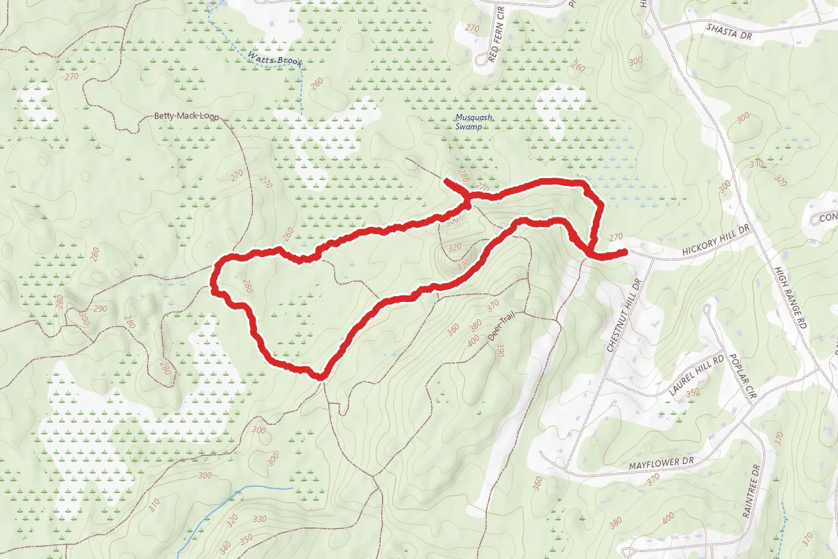 Overlook Trail to Landing Trail