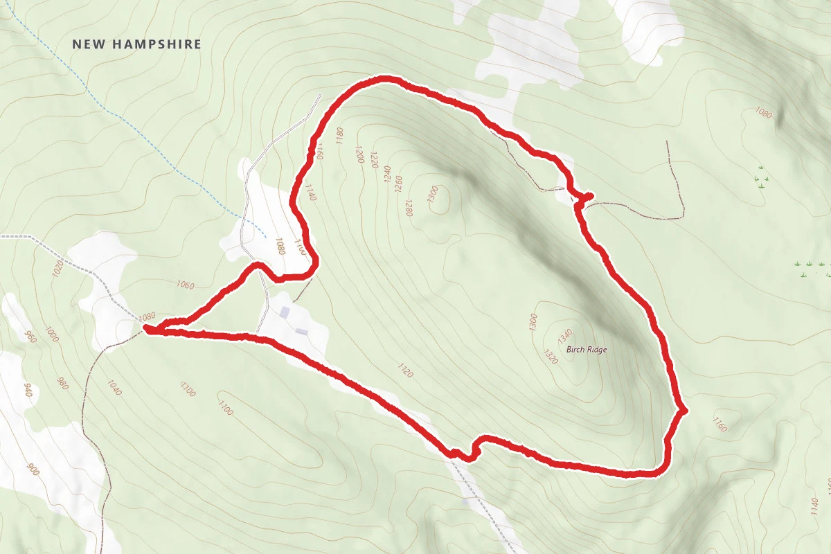Birch Ridge Community Forest Loop