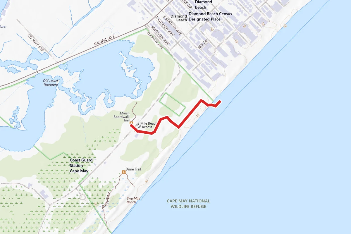 Cape May Dune Trail