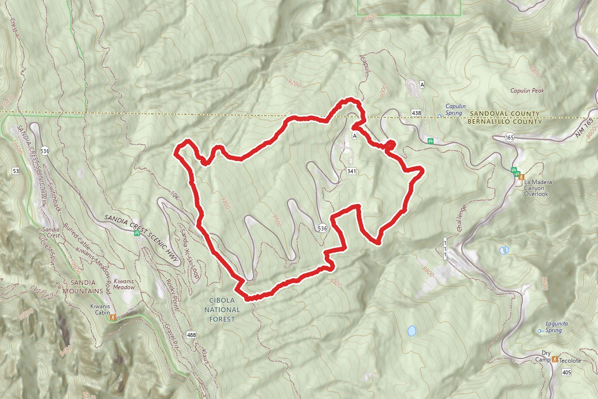 Capulin Peak Trail #354 and 9 Mile Loop