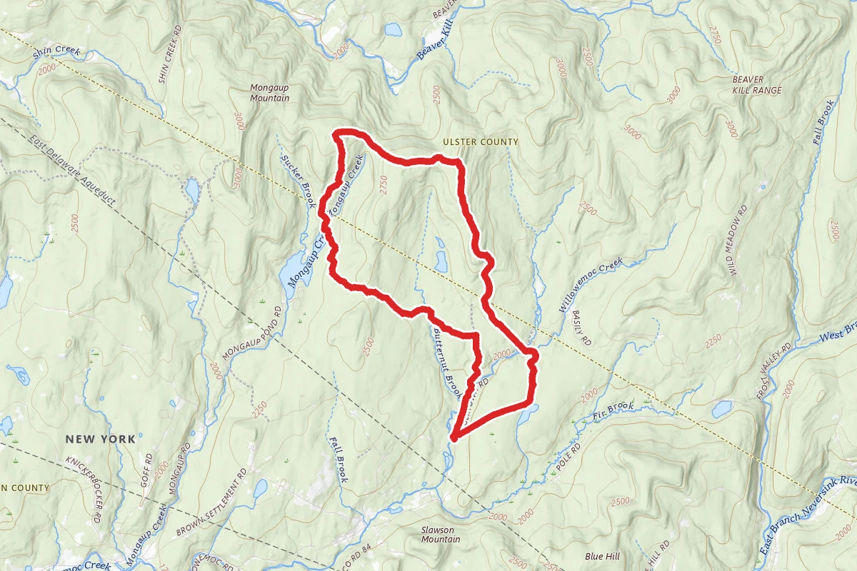 Mongaup Mountain Loop