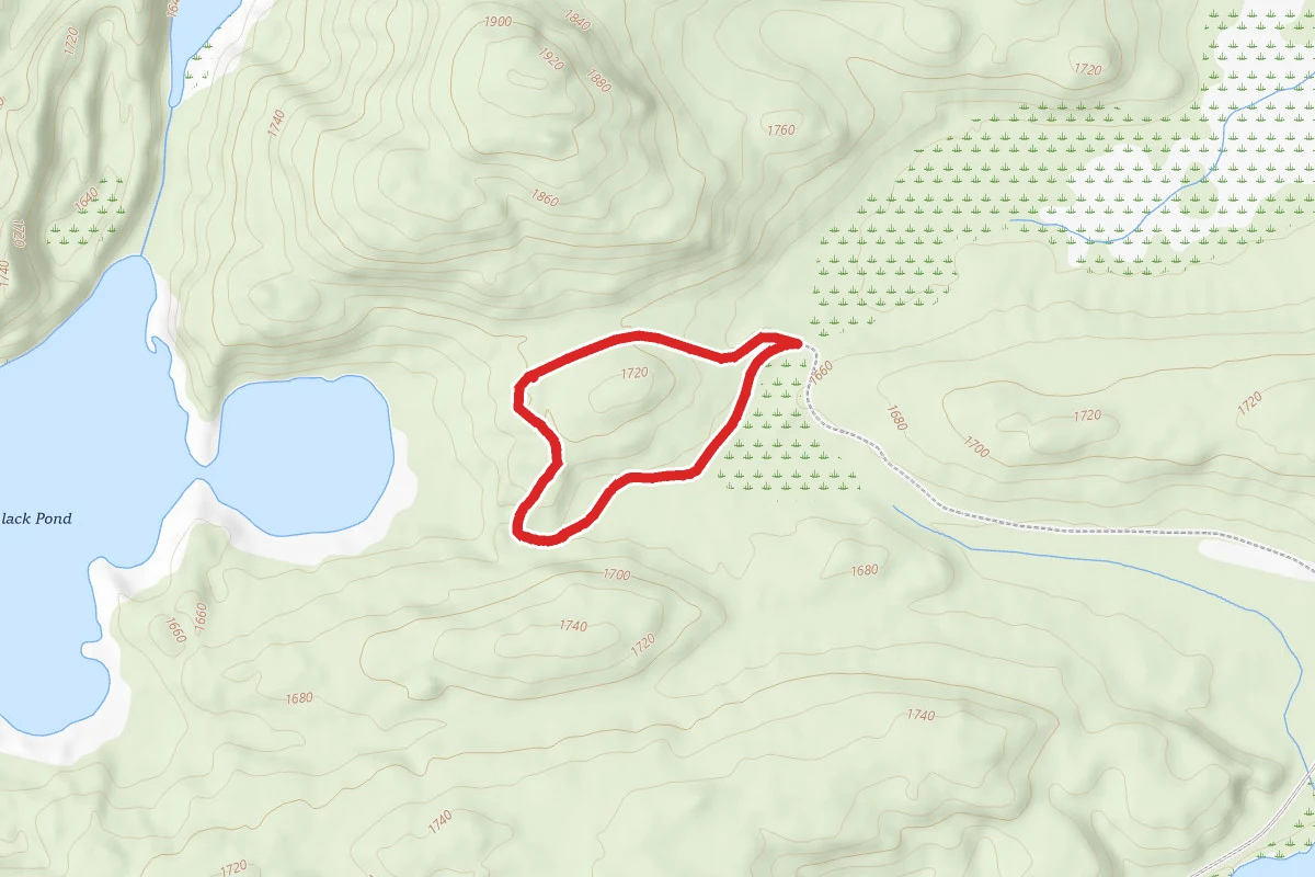 Wood and Waters Trail Loop